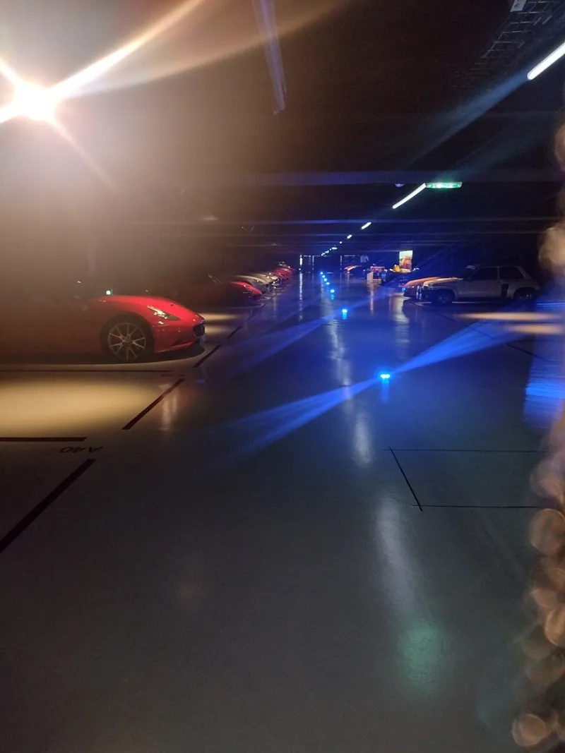 Invisible by Design: The Systems Elite Adult Entertainment Venues Use to Keep Members Unseen